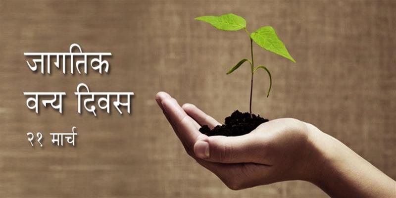 Digital Pune News