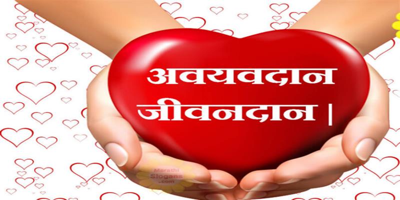 Digital Pune News