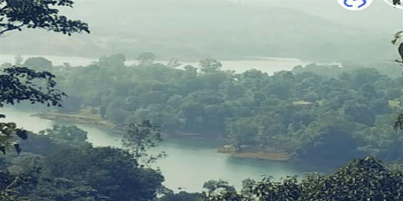 Digital Pune